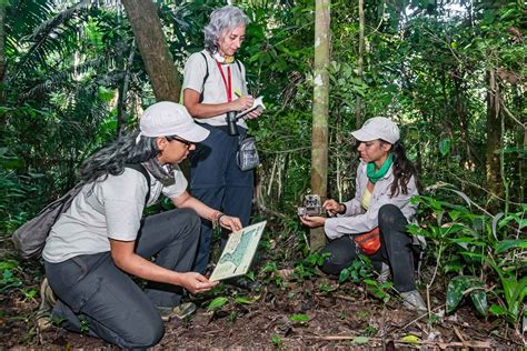 Amazon Conservation .